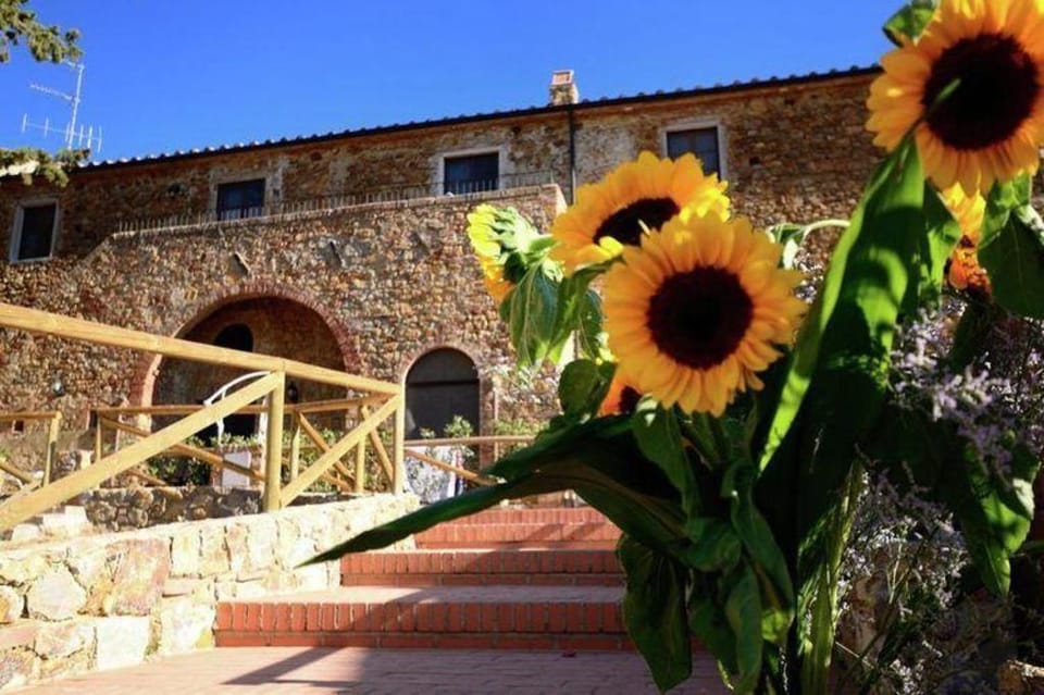 House in Tuscany near Baratti Beach Vacation rental in Tuscany