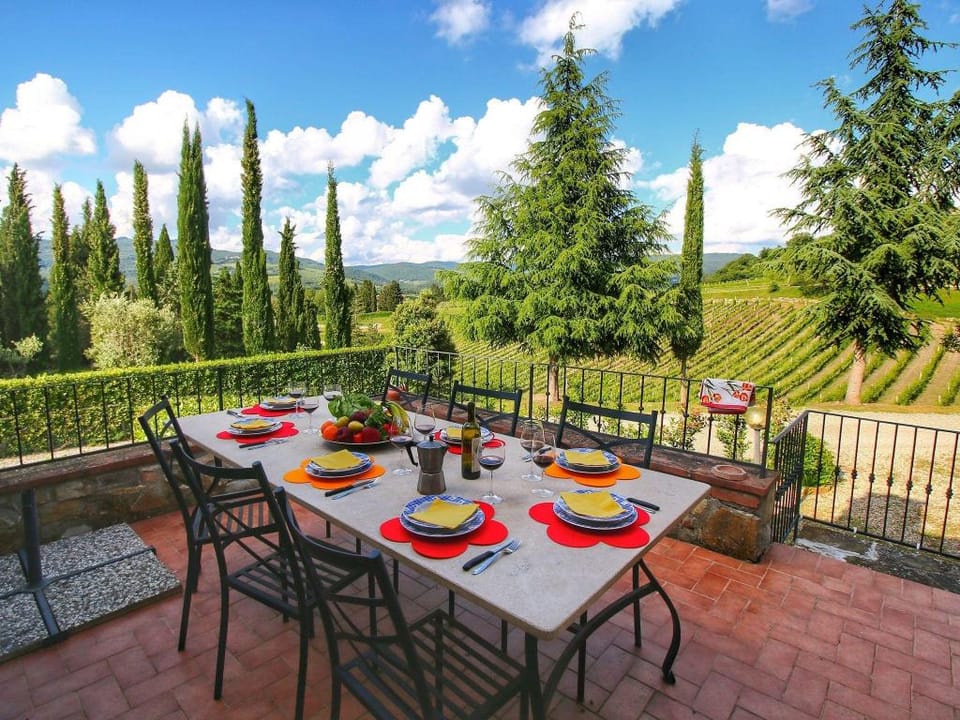 Escape to Vineyards, Elba Vacation rental in Radda in Chianti