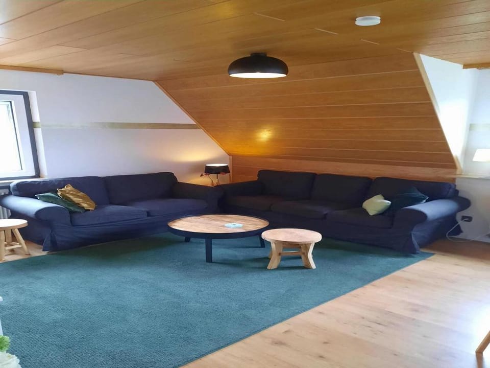 Ferienwohnung in der Nahe von Willingen Apartment in Willingen