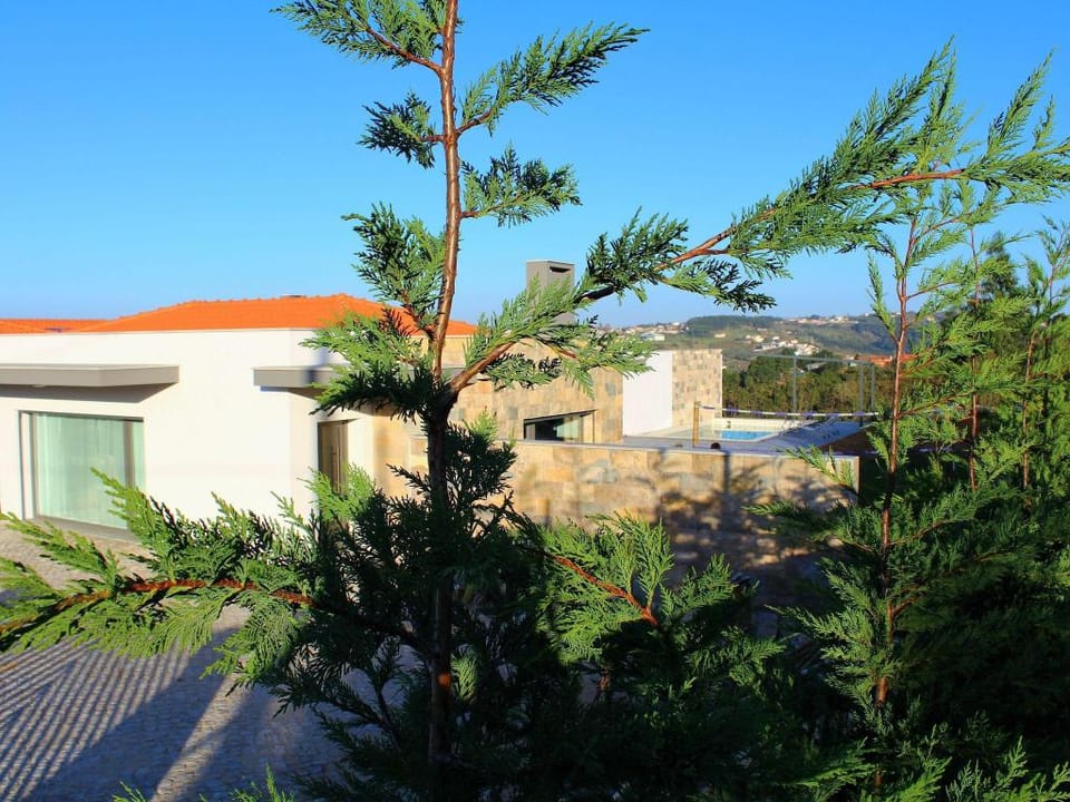 Villa in Portugal with Private Pool  Coast Villa in Portugal