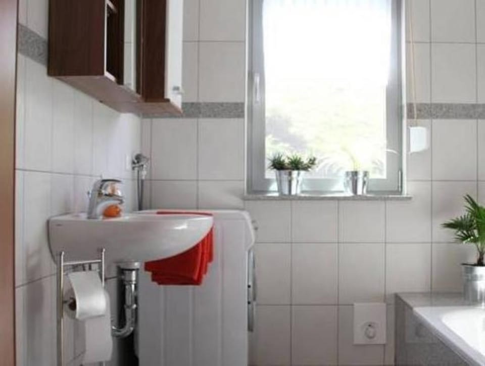 Apartment mit Spass, Muhlenbach Vacation rental in Ortenau
