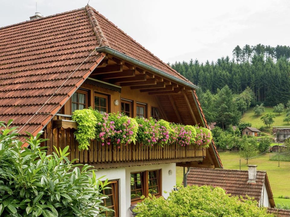Schwarzwald-Ferienwohnung auf dem Bauernhof Vacation rental in Ortenau