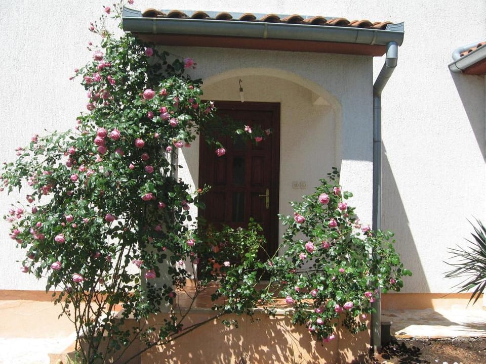 Spacious Home in Dalmatia Vacation rental in Istria County