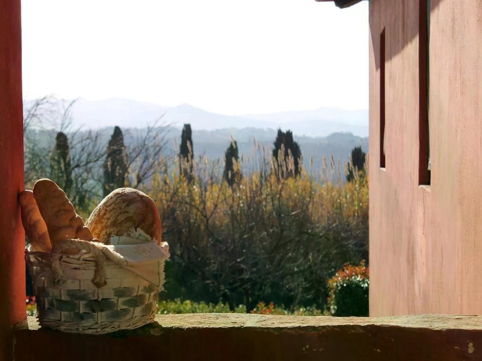 Spacious Tuscan Farmhouse Vacation rental in Tuscany