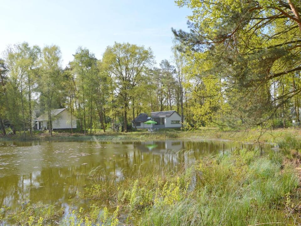 Holiday Home in Stramproy near Forest Vacation rental in Limburg (province)