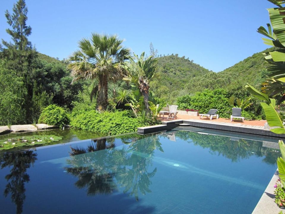 Villa with Garden Oasis in Monchique Villa in Faro District