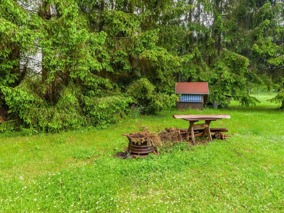Ferienwohnung in Benneckenstein Apartment in Saxony-Anhalt, Germany