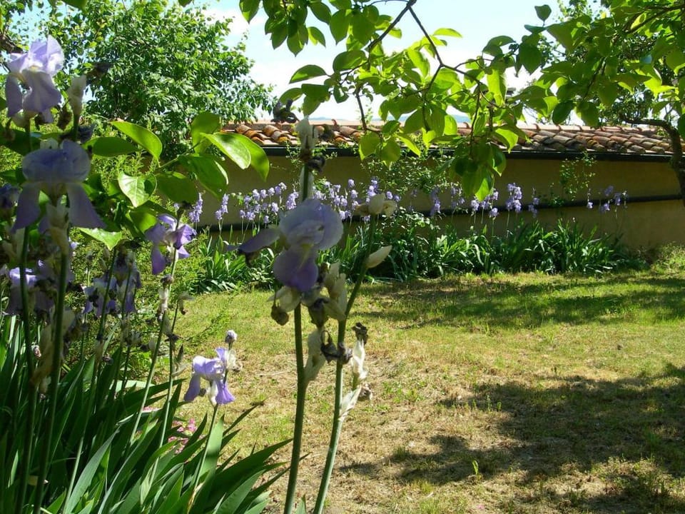 Cozy 2-Bedroom Apartment Vacation rental in Tuscany