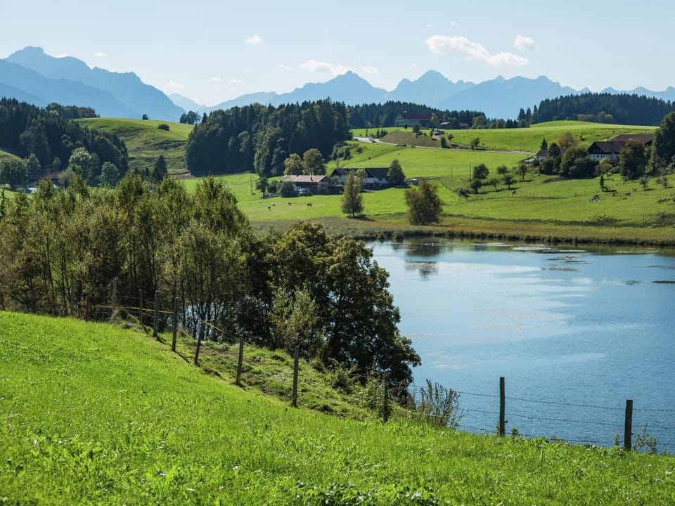 Garden Stay in Steingaden Apartment in Tyrol