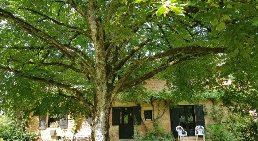 Spacious farmhouse with pool Vacation rental in Nouvelle-Aquitaine