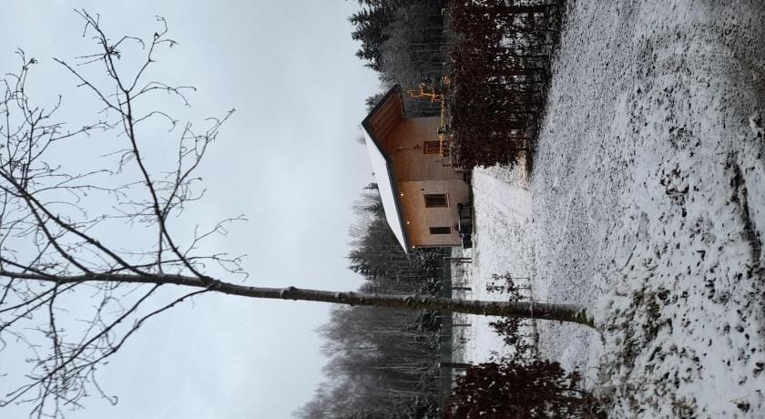 Secluded Chalet in Rogery Vacation rental in Vielsalm