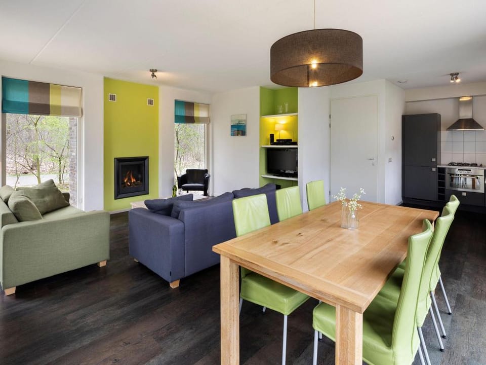 Wellness Villa in Green Ruinen Villa in Drenthe (province)