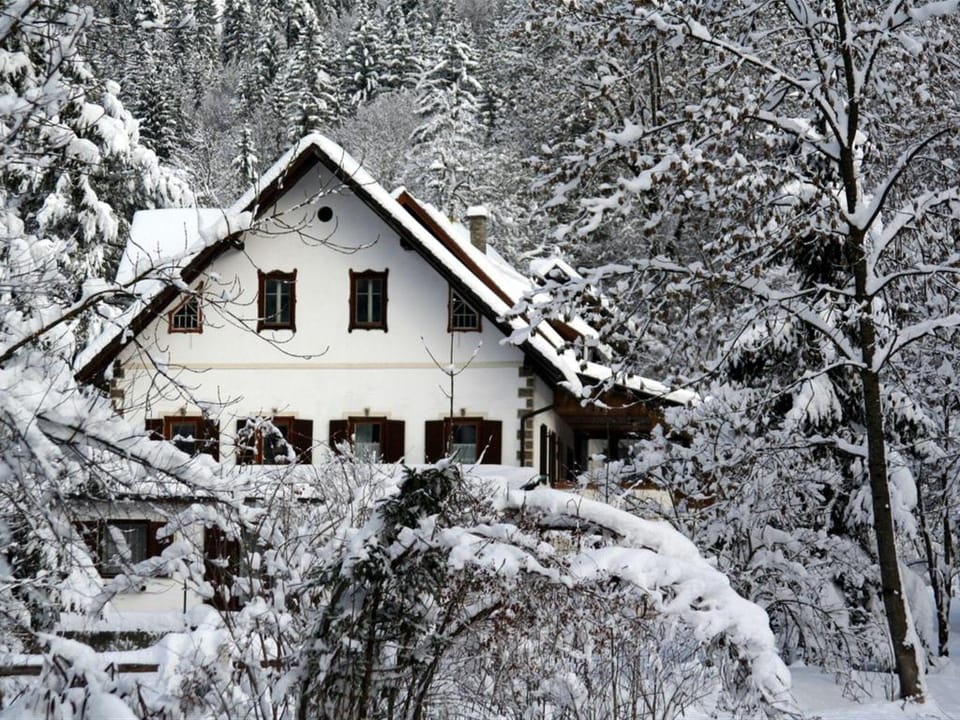 Stunning home in Kärnten w/  Vacation rental in Carinthia, Austria
