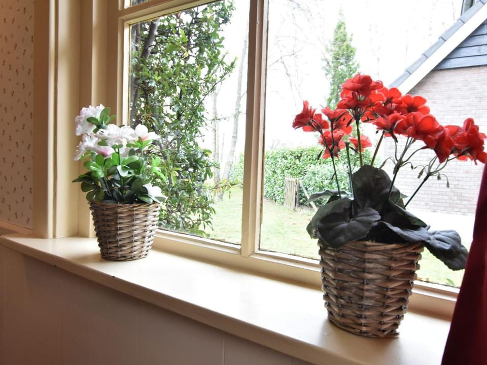 Holiday home in with cycling area Vacation rental in Overijssel (province)