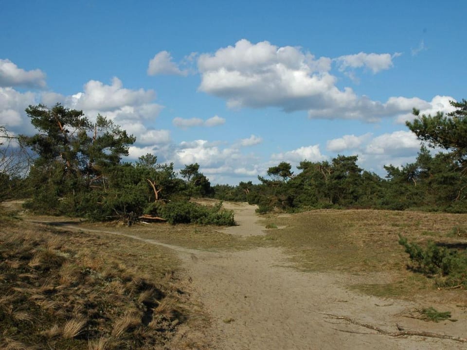 Terraced Home in Voorthuizen near Veluwe Vacation rental in Gelderland, Netherlands