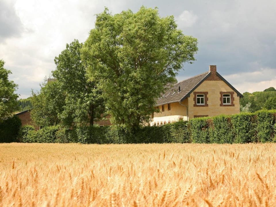 Wijlre Farmhouse stay Vacation rental in Limburg (province)