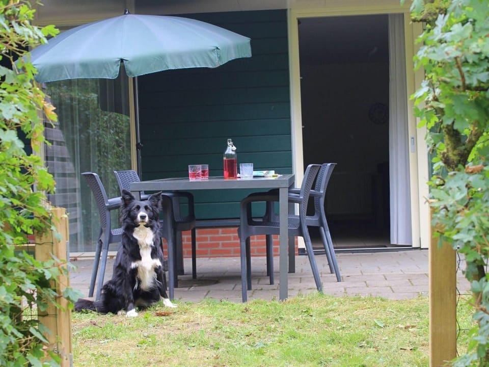 Relaxing Woodland Retreat Vacation rental in Overijssel (province)