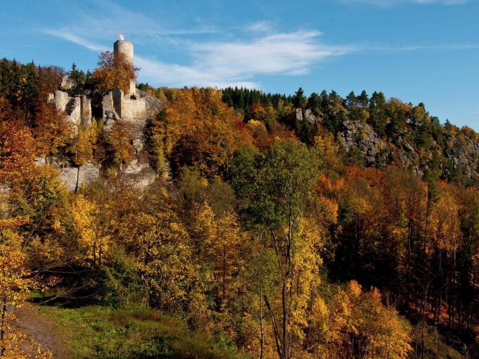 Comfortable detached house with large garden Vacation rental in Lower Silesian Voivodeship