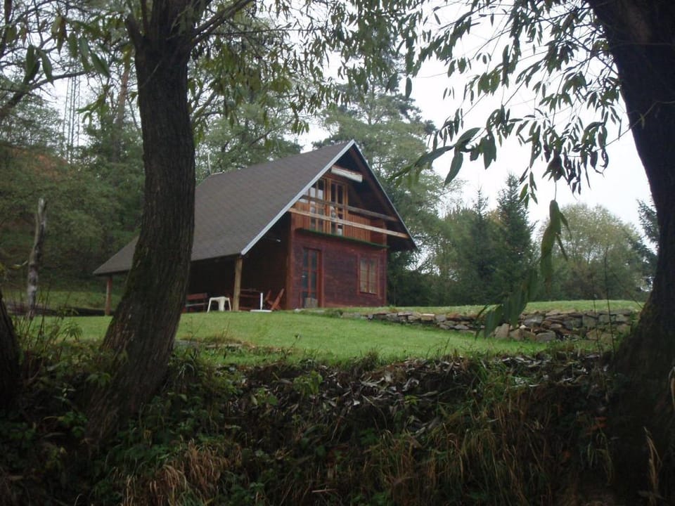 Pet-Friendly Holiday home Vacation rental in South Bohemian Region