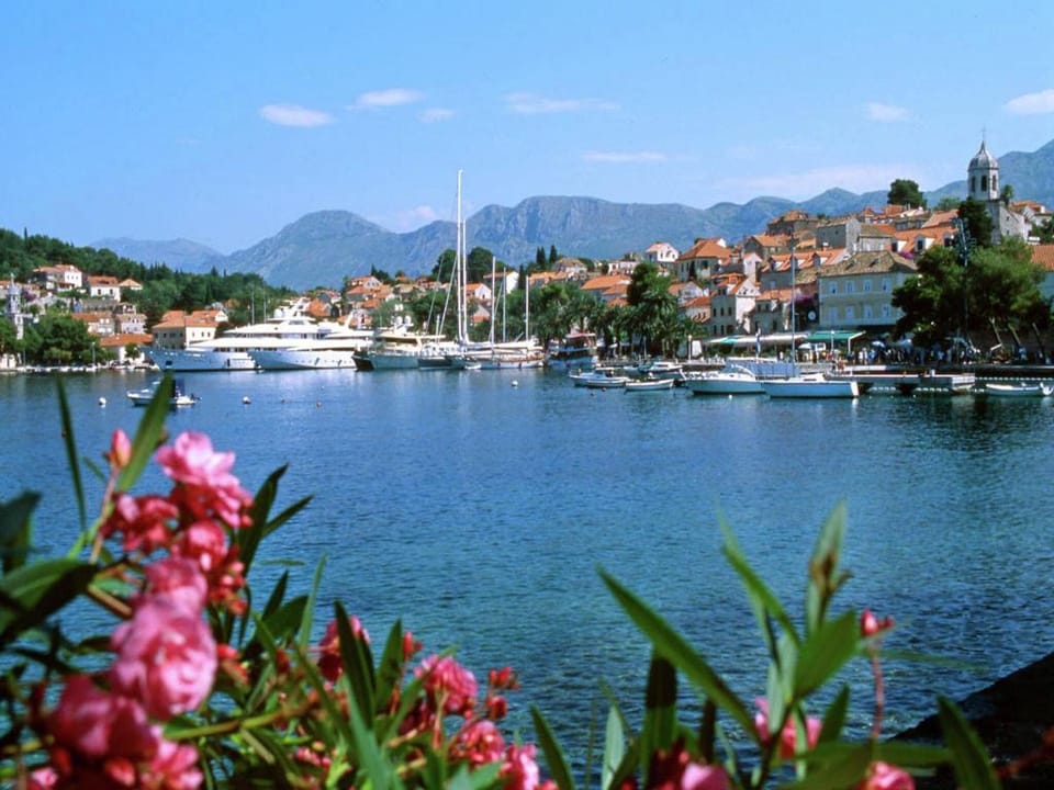 Modern Stay near Cavtat Apartment in Dubrovnik-Neretva County