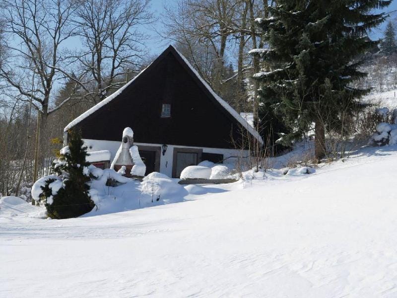 Ferienhaus, Schwarzwald Vacation rental in Villingen-Schwenningen