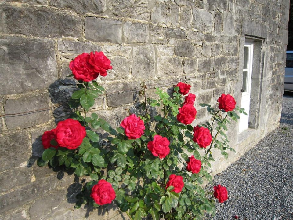 Cosy Cottage in Barvaux-Condroz with Garden Vacation rental in Wallonia, Belgium