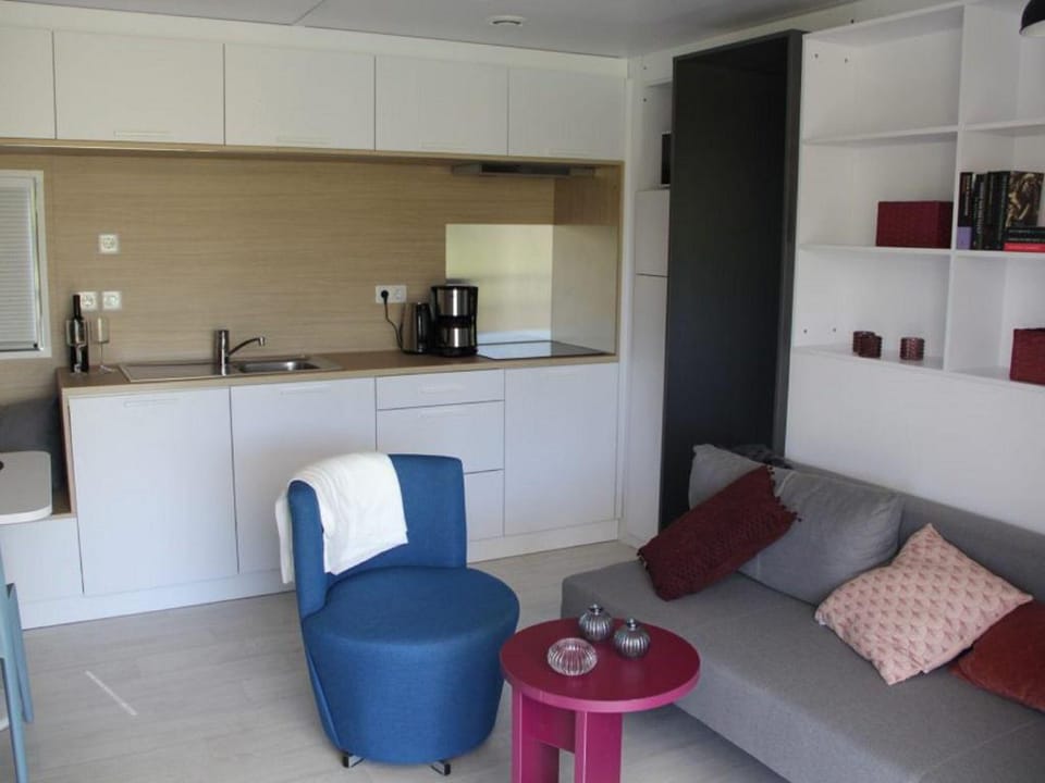 Chalet in Friesland near Alde Feanen Park Vacation rental in Friesland, Netherlands