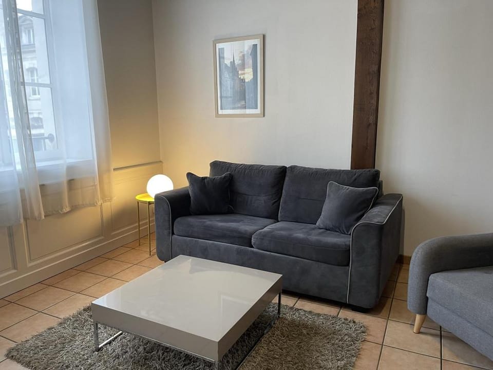Appartement Le Coche d'Eau Auxerre Les Quais Apartment in Bourgogne-Franche-Comté