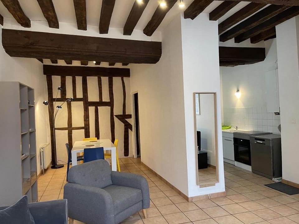 Appartement Le Coche d'Eau Auxerre Les Quais Apartment in Bourgogne-Franche-Comté