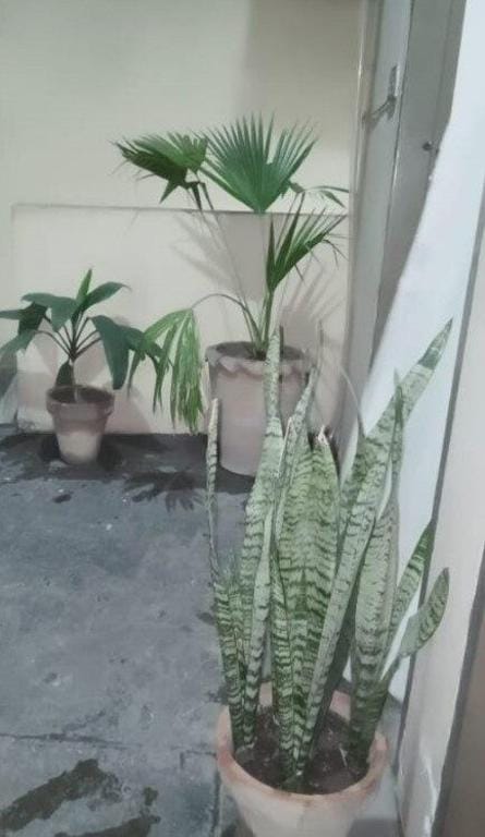 Two Bedrooms Apartment Near to Ring Road Apartment in Lahore