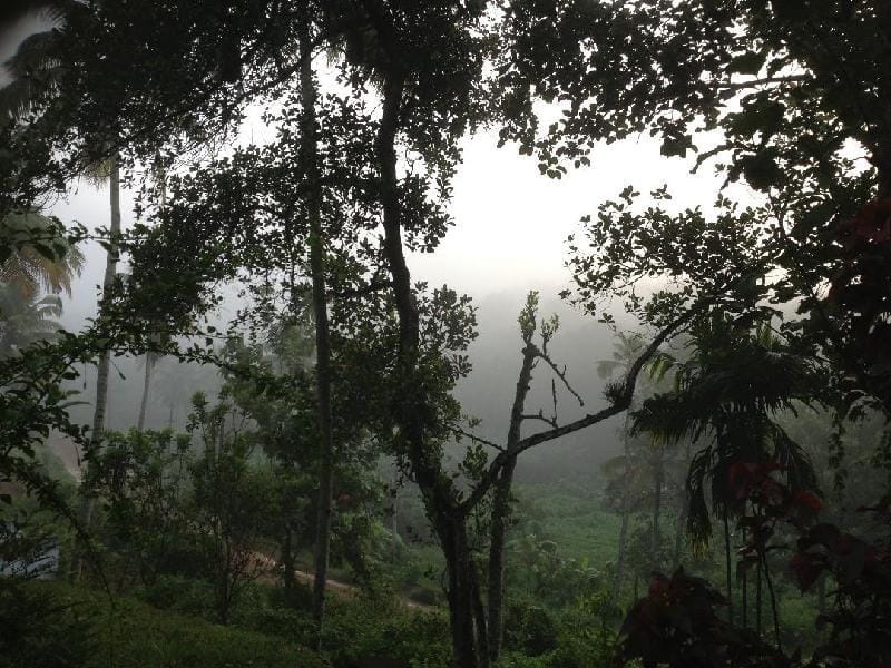SWAMI  SARANAM Vacation rental in Kerala