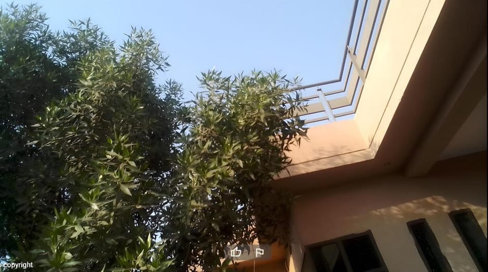 Hotel 4 Season Multan Hotel in Punjab