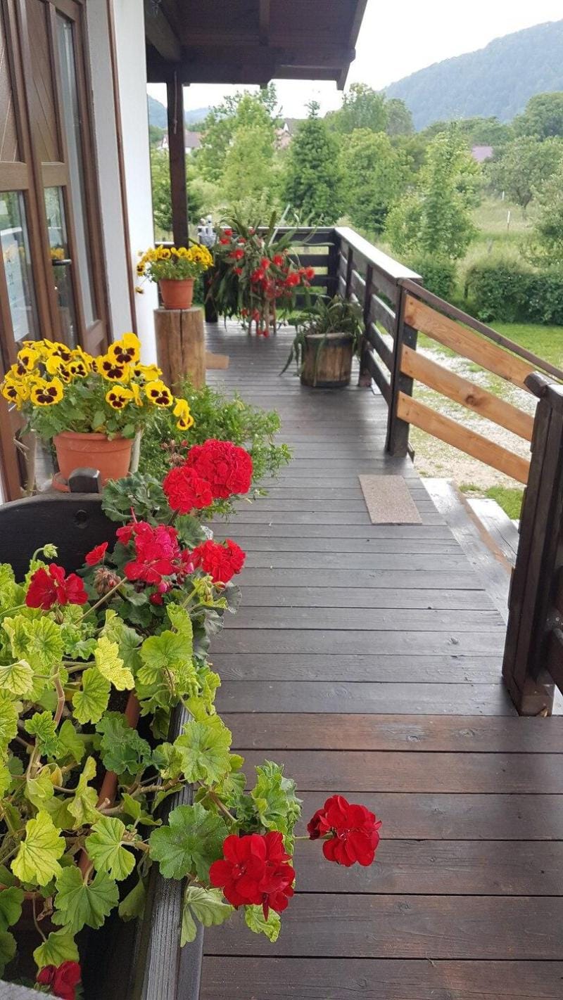 Pensiunea Cehov Bran - cazare in camere duble Vacation rental in Bran