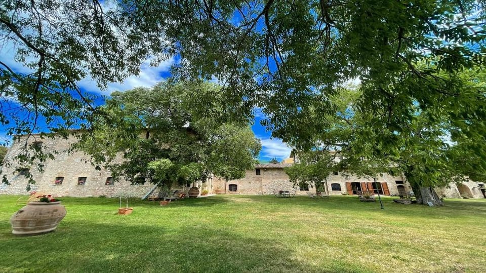 Exclusive Pool-open All Year-spoleto Biofarm-slps 8-village shops, bar1 km Farm Stay in Umbria