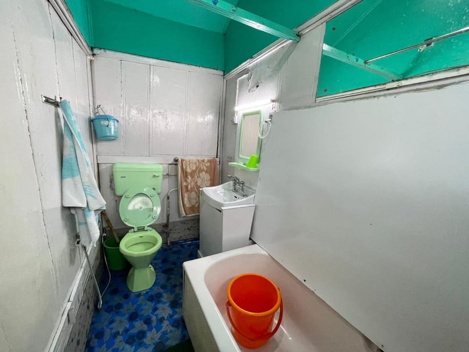 House boat blue dolphin Bed and Breakfast in India