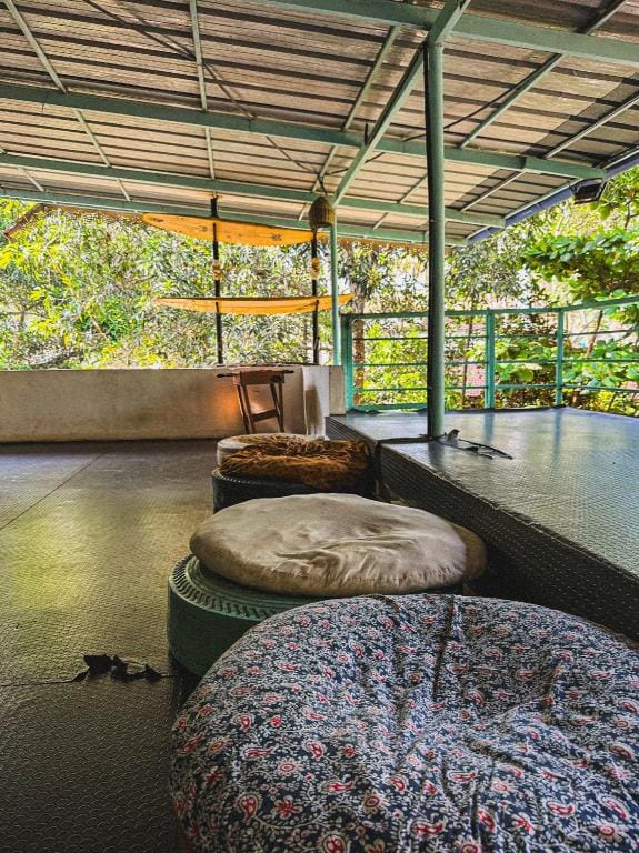 Molly's Hostel Hostel in Varkala