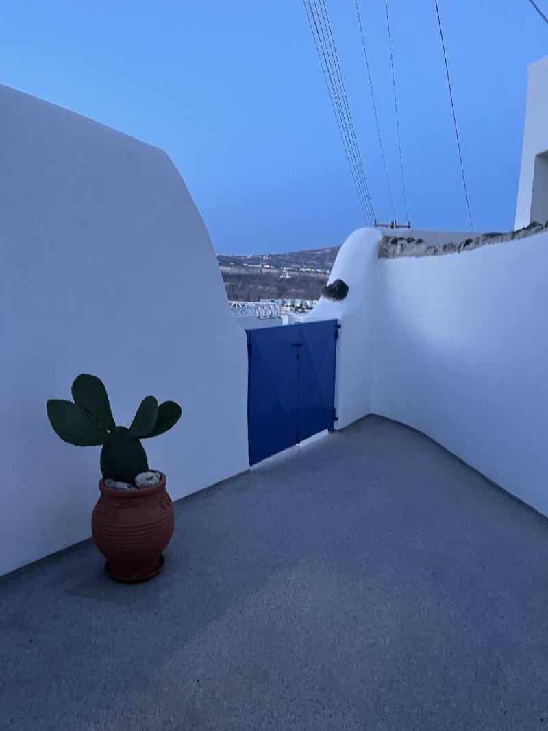 Old Winery Charm Suite Apartment in Santorini
