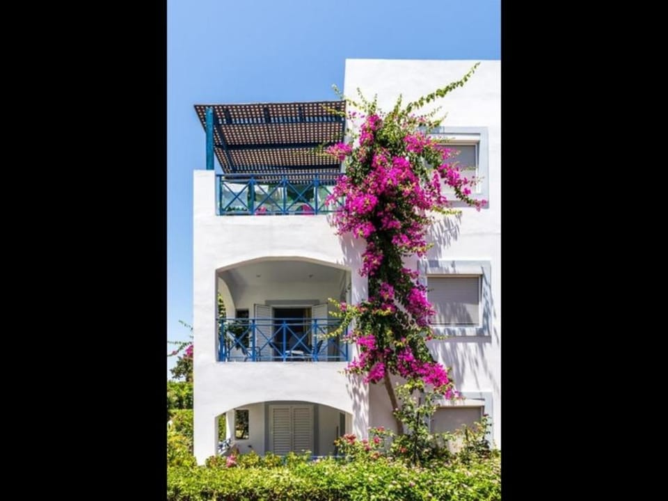 New renovated apartment for 4 people in Kato Gouves of Heraklion Apartment in Crete