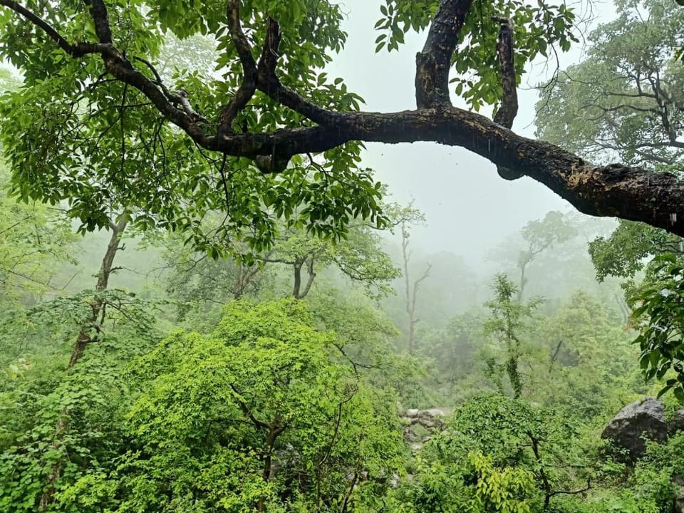 SHIVANJAL Wellness and Accommodation Hotel in Rishikesh