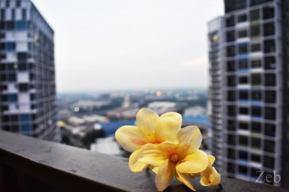 i【CASA MANIS】i-City ⁕Wifi/Netflix/Parking ⁕ 7pax Vacation rental in Selangor, Malaysia