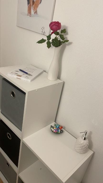 Ferienwohnung Toja Apartment in Baden-Württemberg