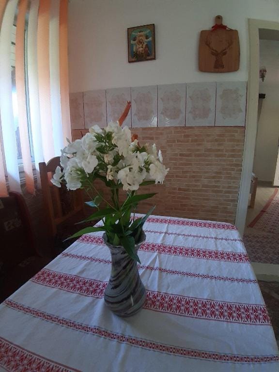 Cozy Mountain Cabin Bilbor Vacation rental in Romania