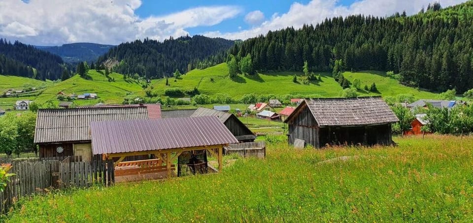 Cozy Mountain Cabin Bilbor Vacation rental in Romania