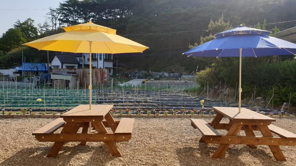 Gosung Shine House Bed and Breakfast in South Korea