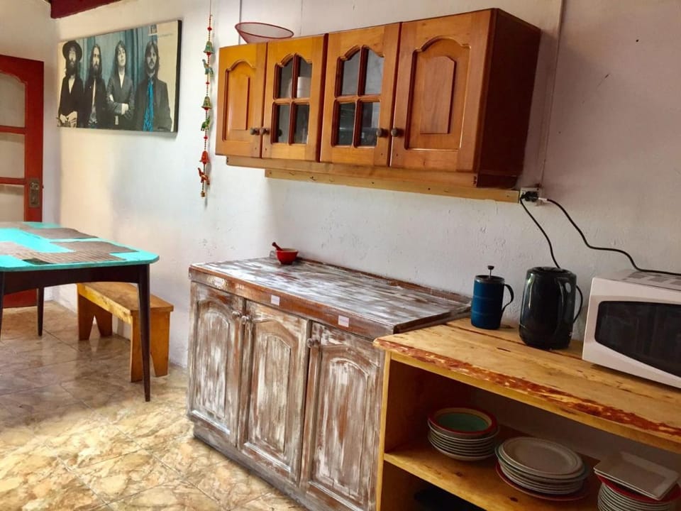 Hostel Raíz Bed and Breakfast in Pucon