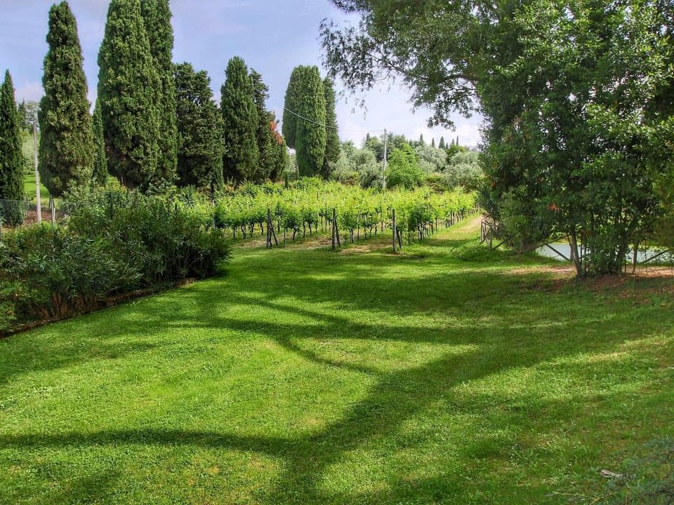 Peaceful Villa Stay in Tuscany Villa in Tuscany