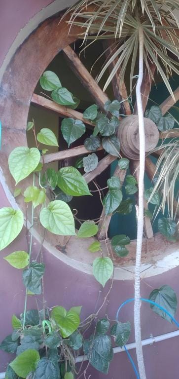 Thiru Nakshatra Family Guest House Hotel in Tamil Nadu
