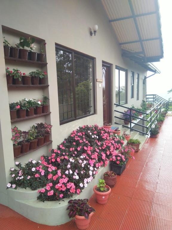 RINKOOS.....misty water fall and  solitude Vacation rental in Kerala