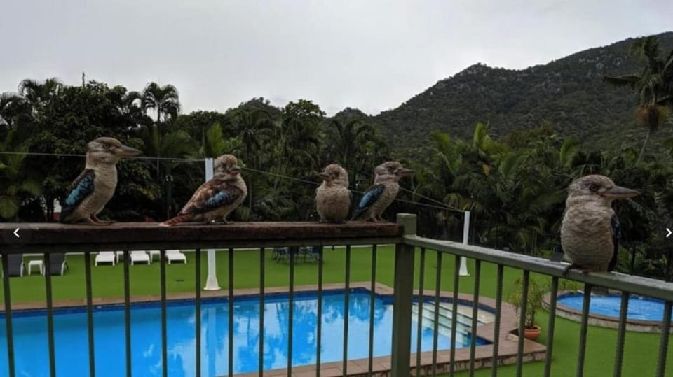 Nature Haven on Mandalay Apartment in Queensland