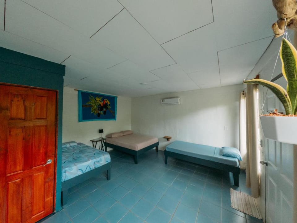 Rooms & Pool Macaws Apartment hotel in Uvita
